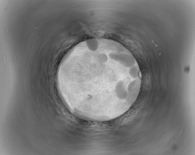 X0000098231105200805221704