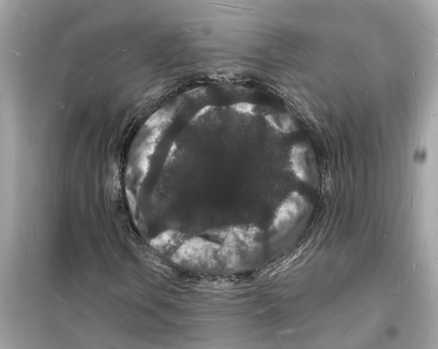 X0000098231106200805221705