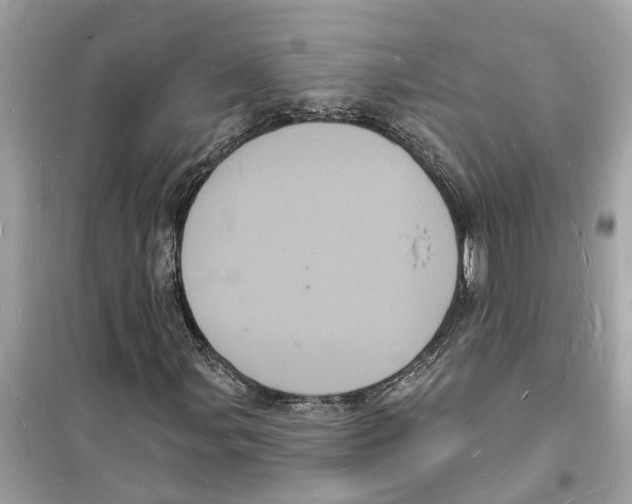 X0000098231107200805221705