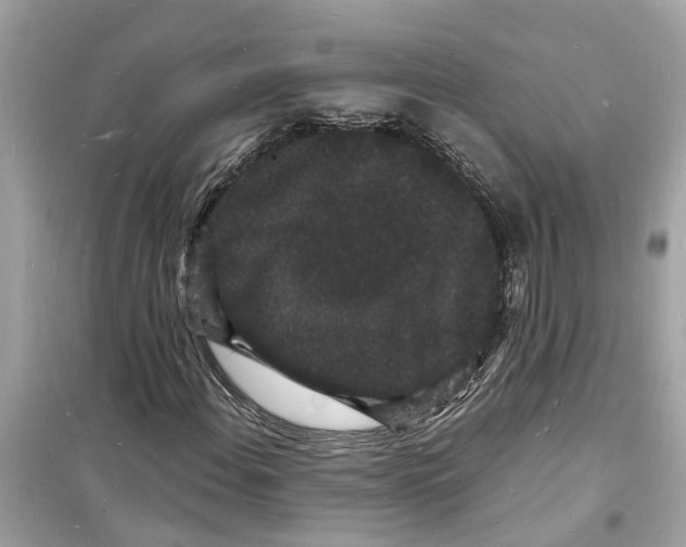 X0000098231108200805221705