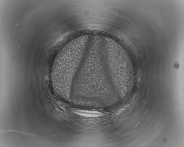 X0000098231110200805221705