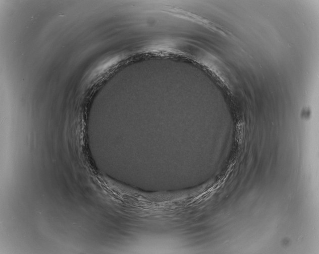 X0000098231111200805221705