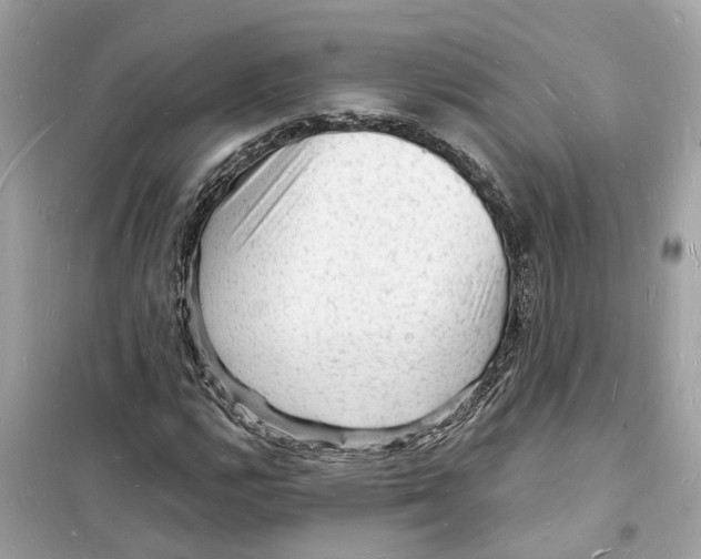 X0000098231112200805221705