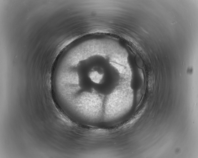 X0000098231113200805221705