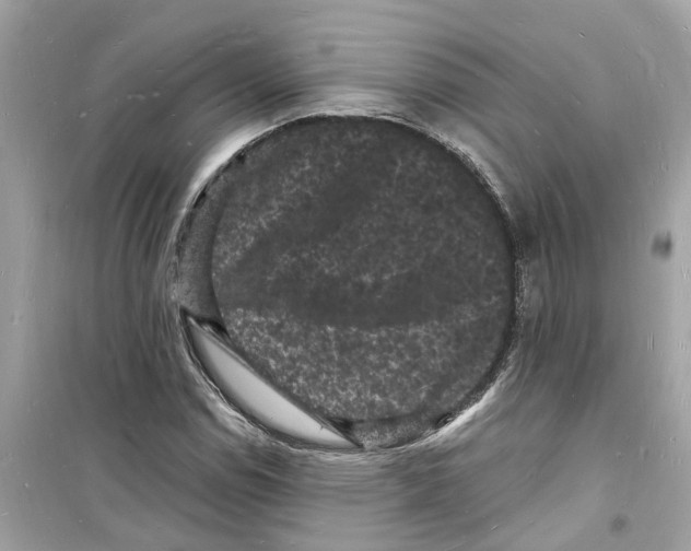 X0000098231114200805221705