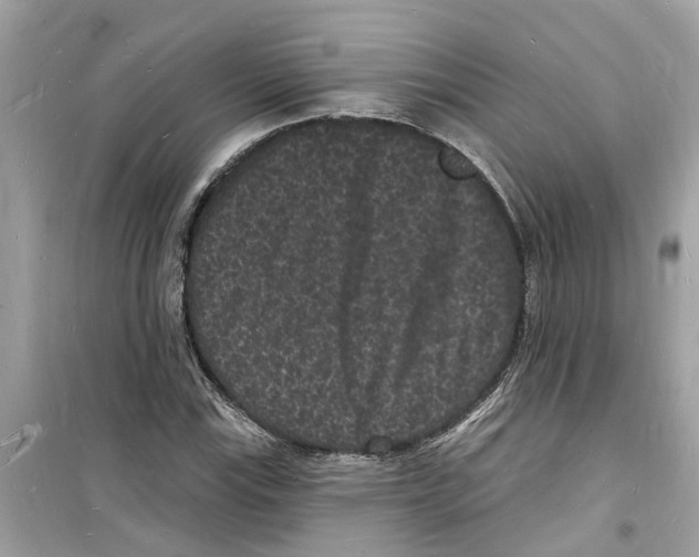 X0000098231115200805221705