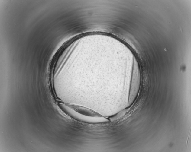 X0000098231116200805221705