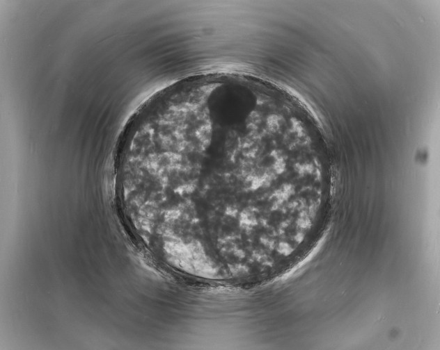 X0000098231117200805221705