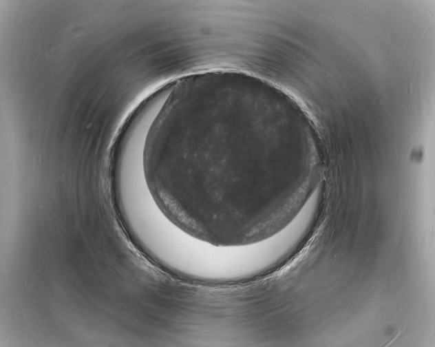 X0000098231118200805221705