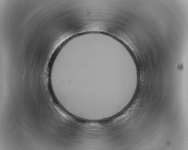 X0000098231119200805221705