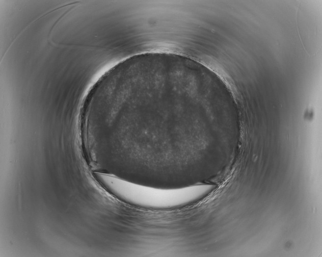 X0000098231120200805221705