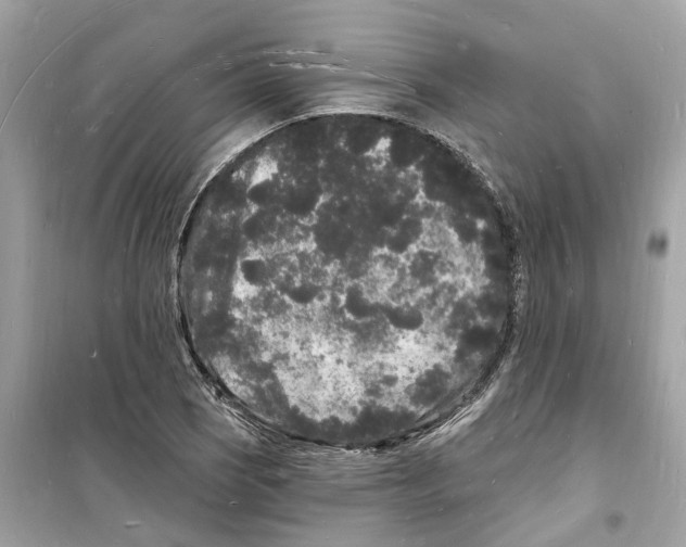 X0000098231121200805221705