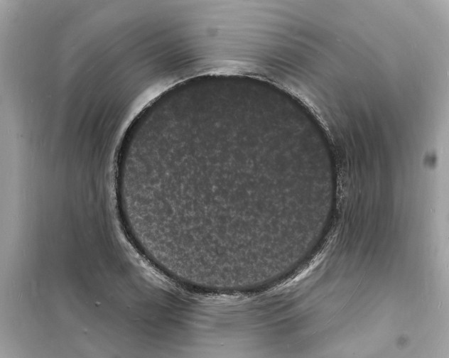 X0000098231122200805221705