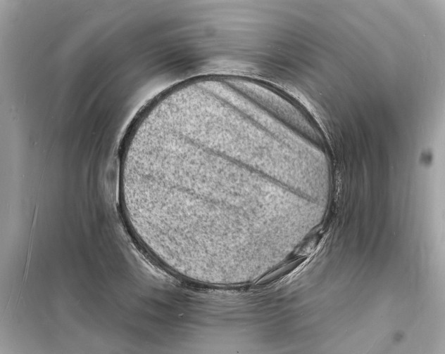 X0000098231123200805221705