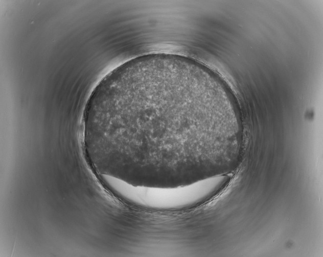 X0000098231125200805221705