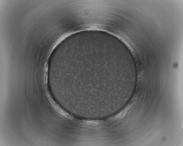 X0000098231126200805221705