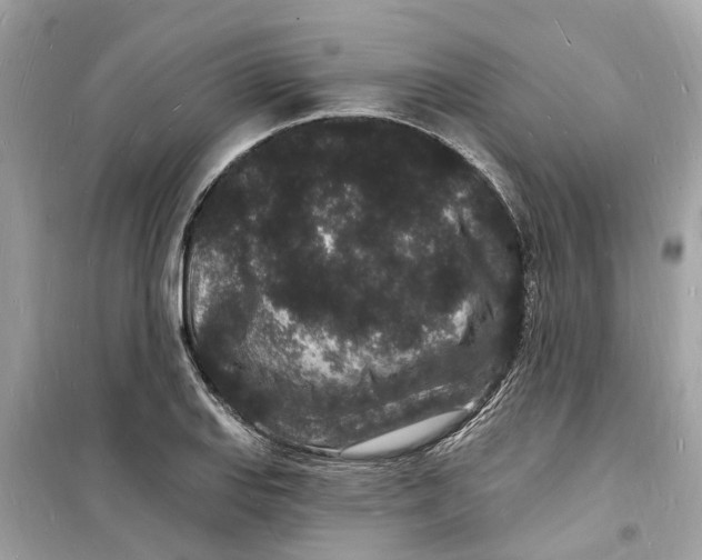 X0000098231127200805221705