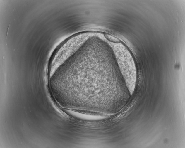 X0000098231128200805221705