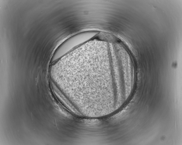 X0000098231129200805221705