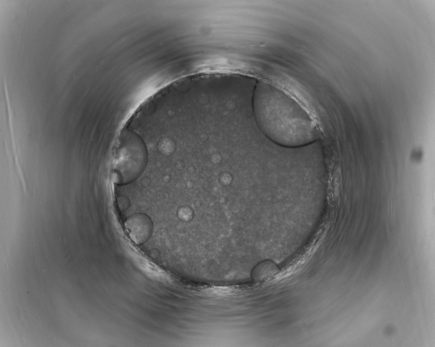 X0000098231130200805221705