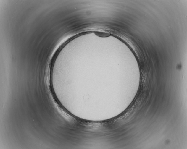 X0000098231131200805221705