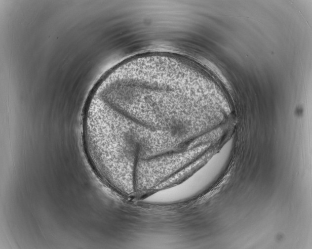 X0000098231133200805221705