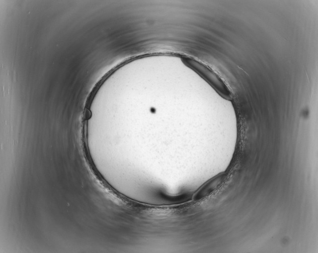 X0000098231134200805221705