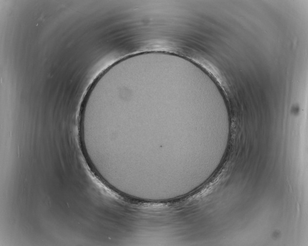 X0000098231135200805221705