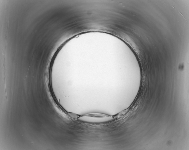 X0000098231136200805221705