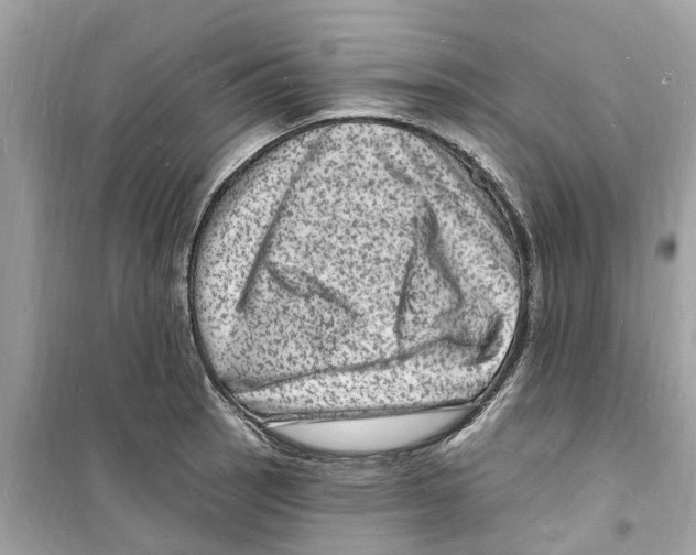 X0000098231137200805221705