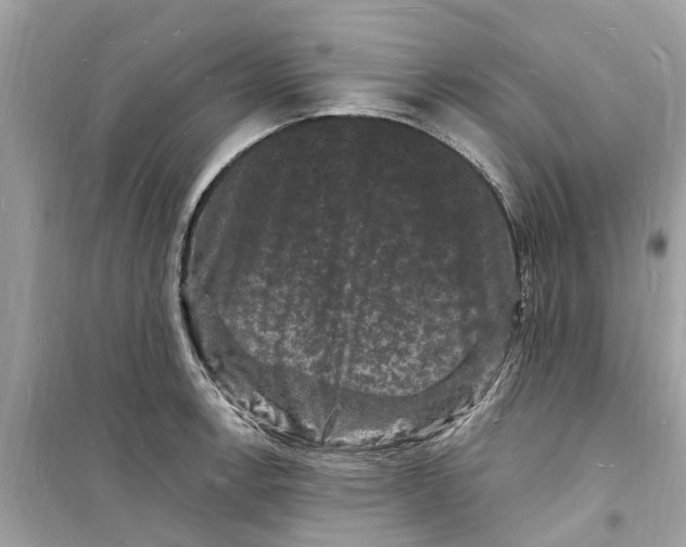 X0000098231138200805221705