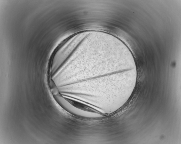 X0000098231139200805221705