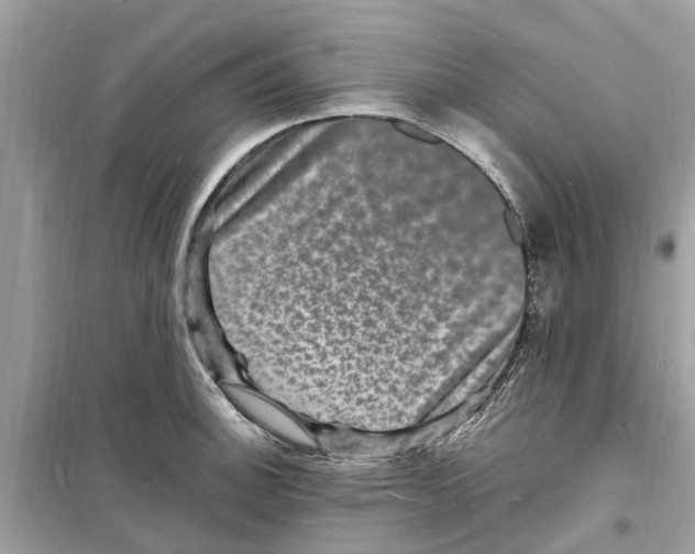 X0000098231140200805221705