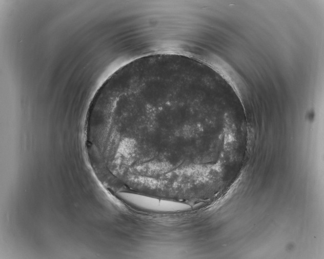 X0000098231141200805221705