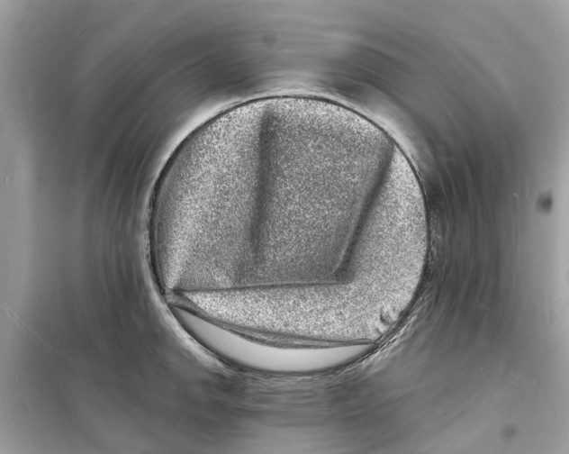 X0000098231142200805221705