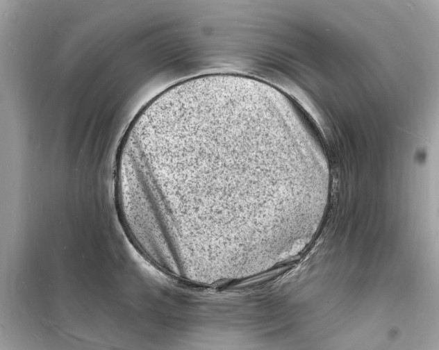 X0000098231143200805221705