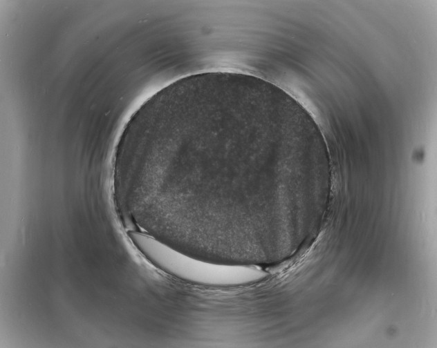 X0000098231144200805221705