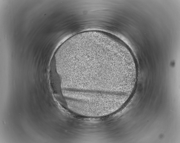 X0000098231145200805221705