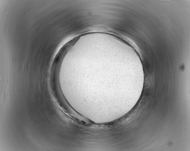 X0000098231146200805221705