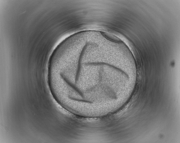 X0000098231147200805221705