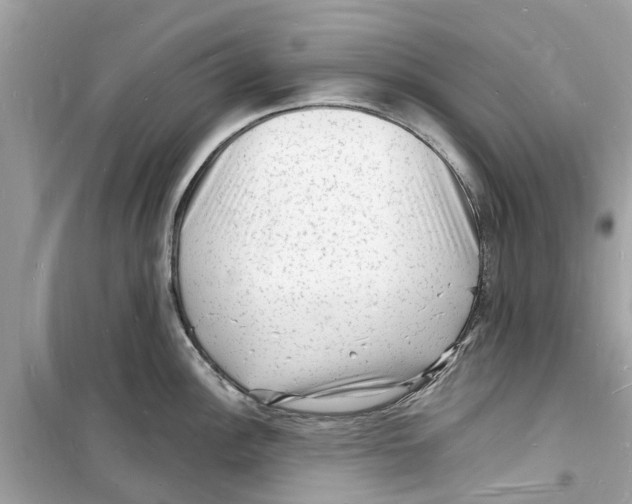 X0000098231148200805221705