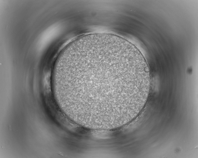 X0000098231150200805221705