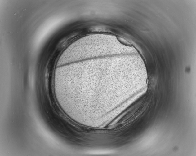 X0000098231151200805221705