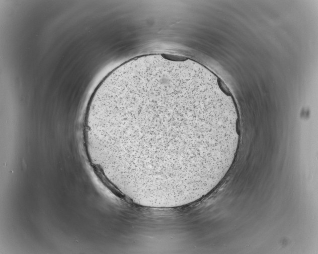 X0000098231152200805221705