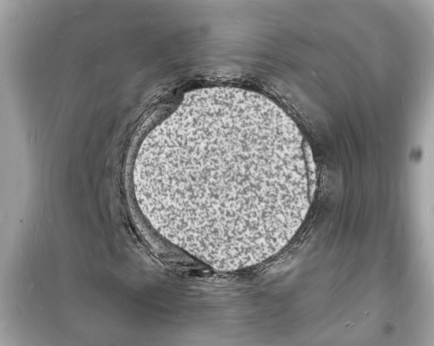 X0000098231153200805221704