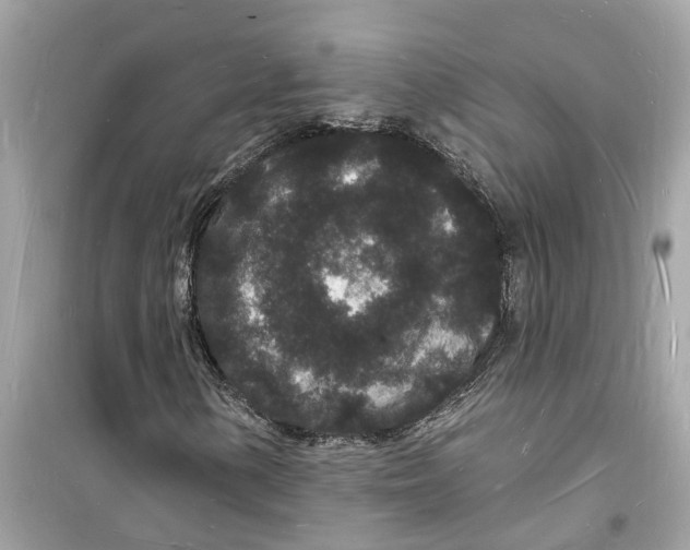 X0000098231154200805221704