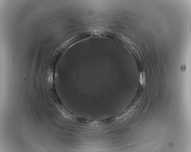 X0000098231155200805221704