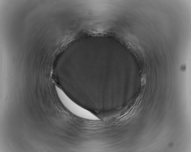 X0000098231156200805221704