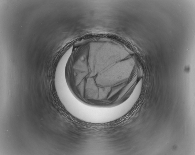 X0000098231157200805221704