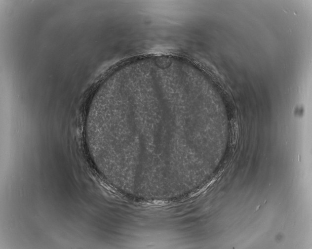 X0000098231158200805221704